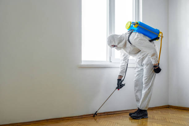 Best Emergency Pest Control  in Rose Valley, PA