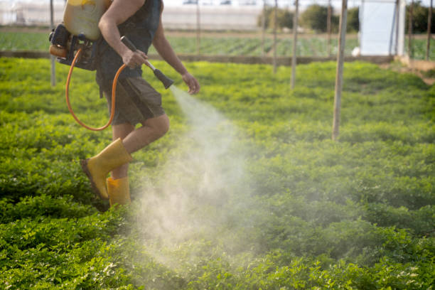 Pest Control Cost in Rose Valley, PA