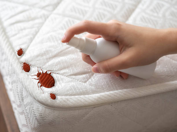 Pest Prevention Services in Rose Valley, PA