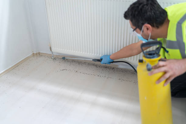 Best Residential Pest Control  in Rose Valley, PA